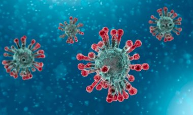 Oamenii de ştiinţă din Australia au recreat noul coronavirus din China.