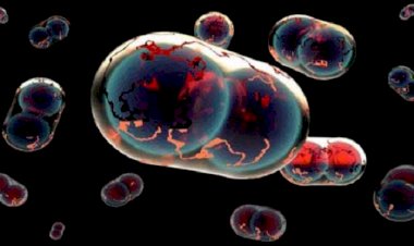 10 virusuri create în laborator, care pot distruge omenirea