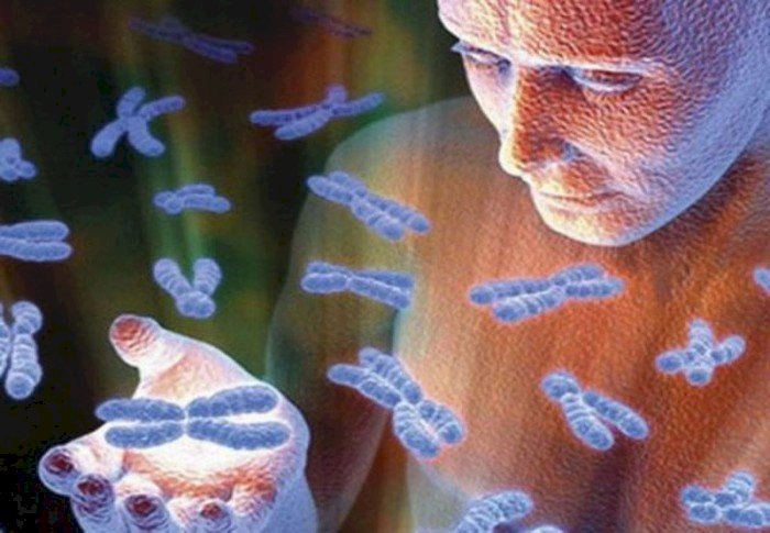 Ultimele studii despre ADN – Noi păstrăm memoria tuturor strămoşilor de la facerea lumii!