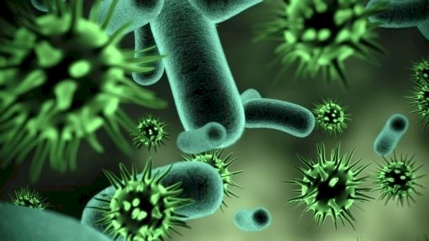 Un om de ştiinţă de la Harvard avertizează: actualul „coronavirus Wuhan” din China are o rată de răspândire extraordinară!